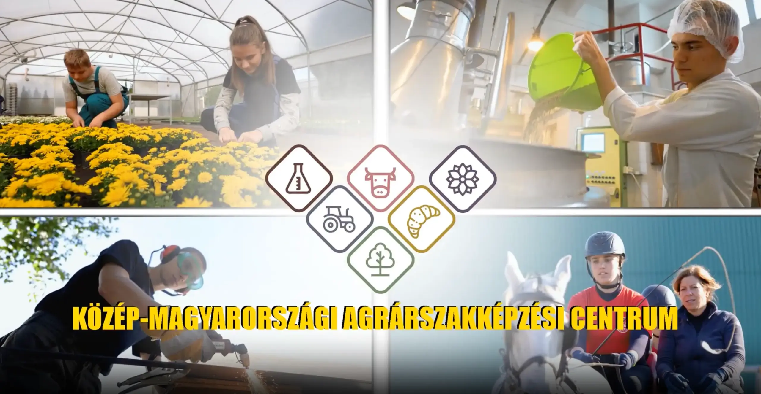 Home videó plakát kép